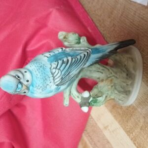 China lefton parakeet